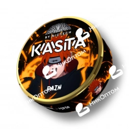 KASTA - Anime 120mg - Pain - Крыжовник-Мята